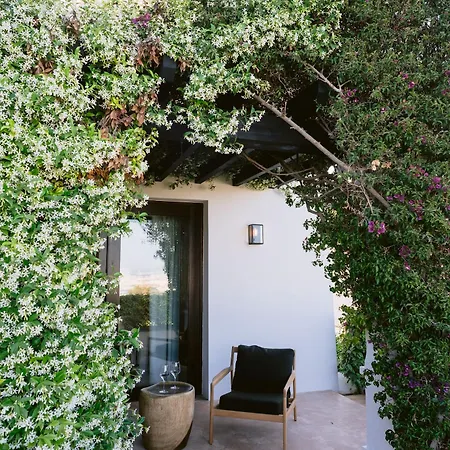 Casa Maca Ibiza Town