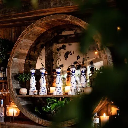 Casa Maca 5* イビサ・タウン