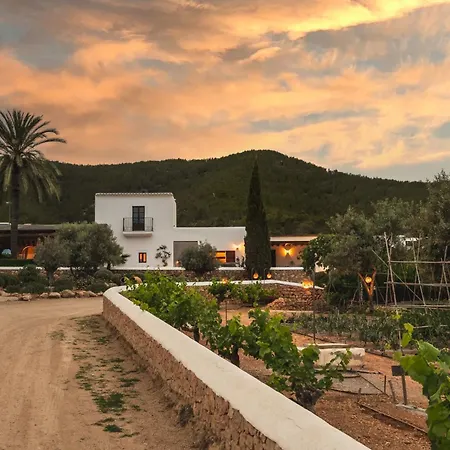 Casa Maca Hotel Ibiza
